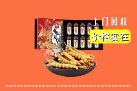 酒泉市回收冬虫夏草