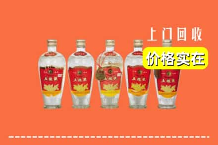 酒泉市回收老五粮液
